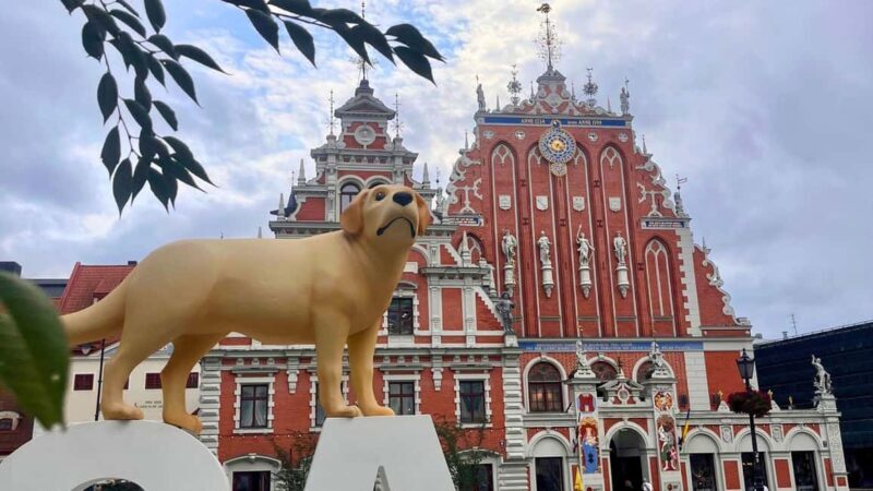 Riga Package: Canal Boat Tour + Drink & Old Town Audio Guide - Final Words