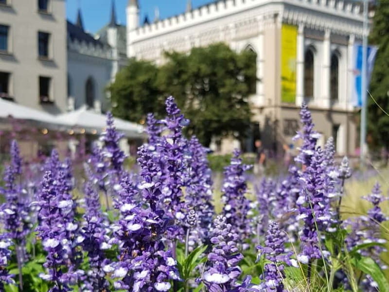 Riga: Private City Tour by car (incl. Old Town) - FAQs