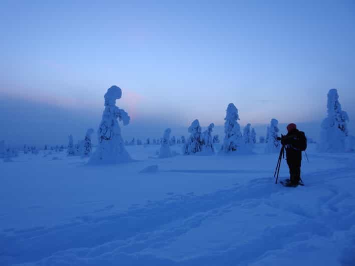 Riisitunturi National Park Snowshoe Adventure - Key Points
