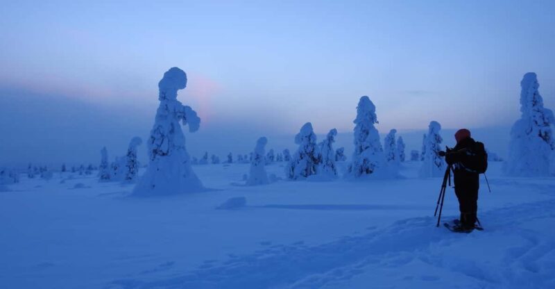 Riisitunturi National Park Snowshoe Adventure - A Closer Look at the Riisitunturi Snowshoe Adventure