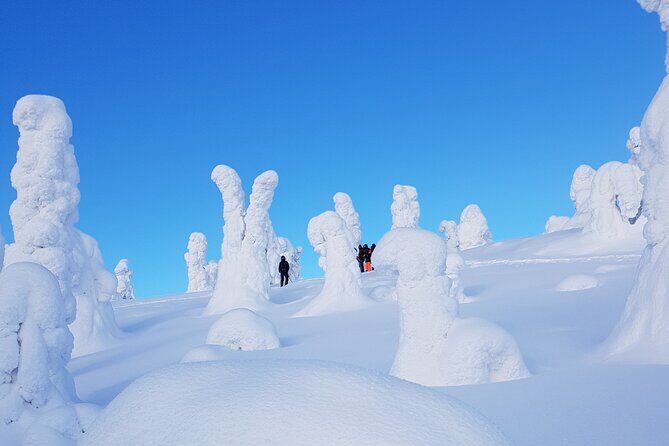 Riisitunturi National Park Snowshoe Experience - Why This Tour Might Be Perfect for You