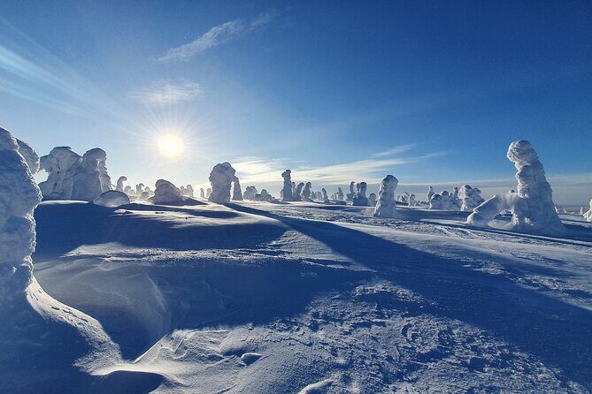 Riisitunturi National Park Snowshoe Experience - Final Thoughts