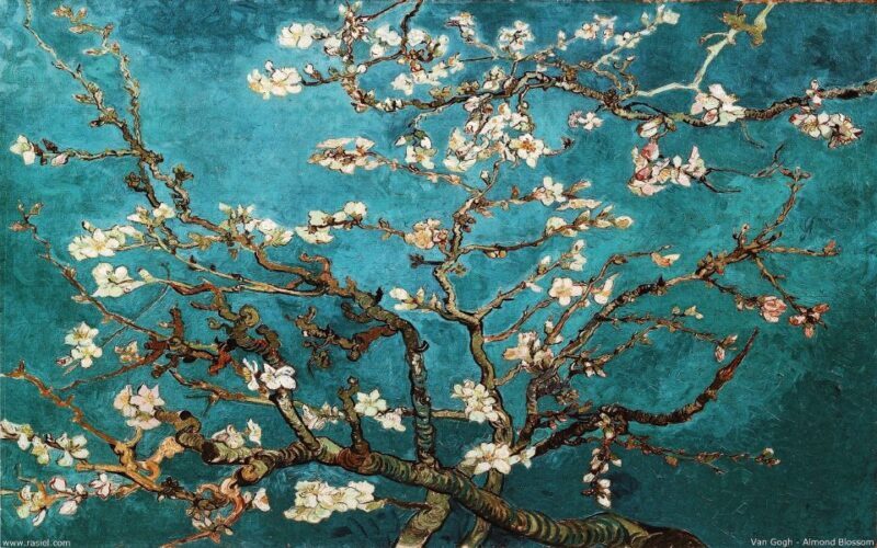 Rijksmuseum & Van Gogh Museum: Timed Entrance & Guided Tour - The Guided Tour: Personal Touches and Expert Insights