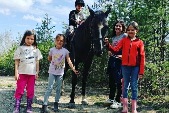 Rila National Park Horse Riding Adventure - A Detailed Look at the Rila National Park Horse Riding Adventure