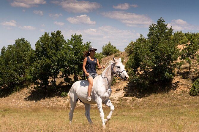 Rila National Park Horse Riding Adventure - The Sum Up: Is the Rila National Park Horse Riding Adventure Worth It?