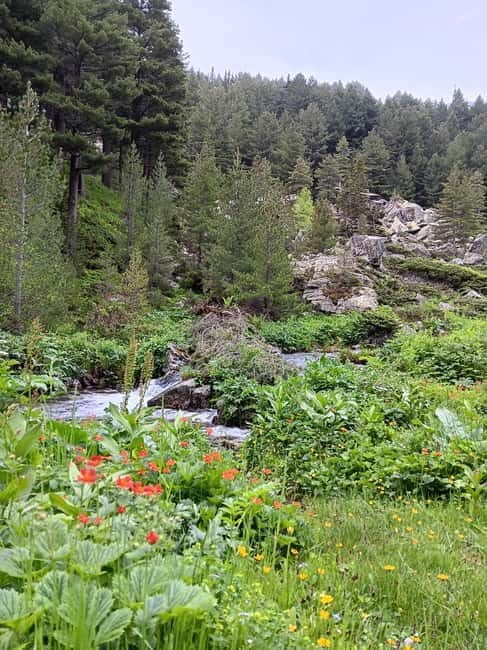 Rilska skakavitsa waterfall hiking tour - Final Thoughts: Who Will Love This Tour?