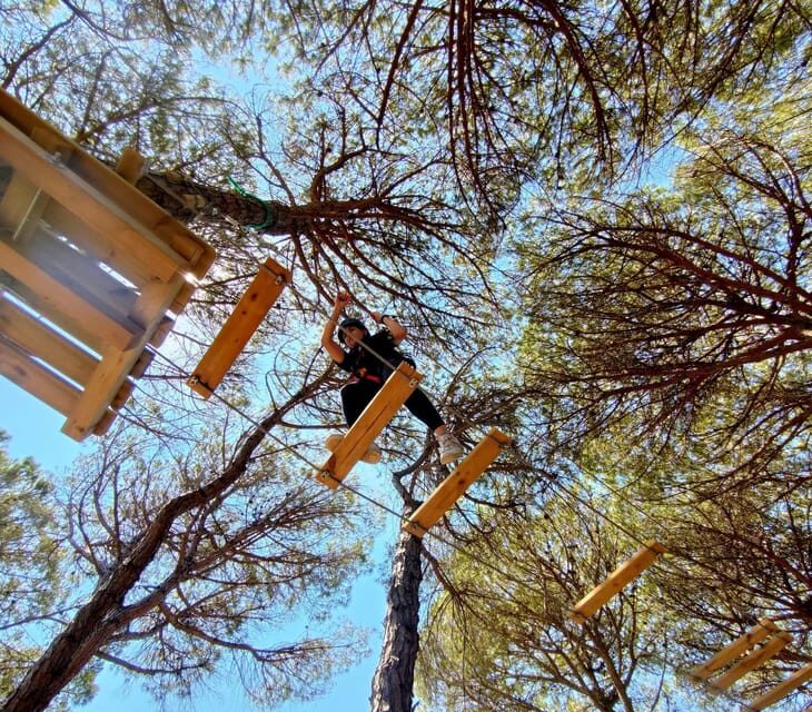 Rimini: Adventure Park Entry Ticket - Key Points