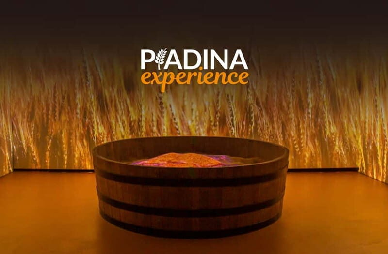 Rimini: Piadina Experience Museum Entry Ticket - Introduction: A Flavorful Look at the Piadina Museum
