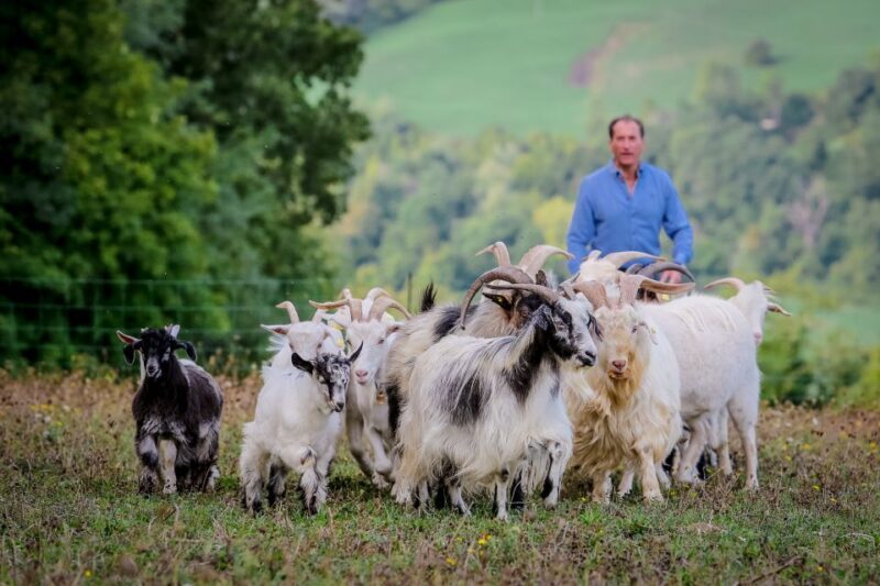 Rimini: San Leo Cashmere Farm Experience - An In-Depth Look at the San Leo Cashmere Farm Experience