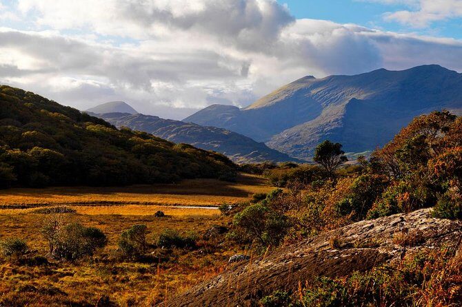 Ring of Kerry Day Tour from Cork: Including Killarney National Park - A Deep Dive into the Experience