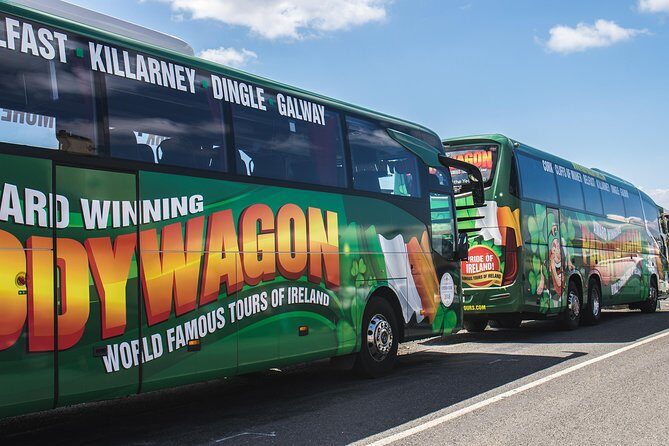 Ring of Kerry Day Tour from Cork: Including Killarney National Park - Final Thoughts