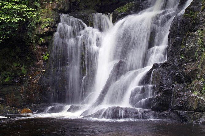 Ring of Kerry Day Tour from Limerick: Including Killarney National Park - Practical Details and What You Should Know