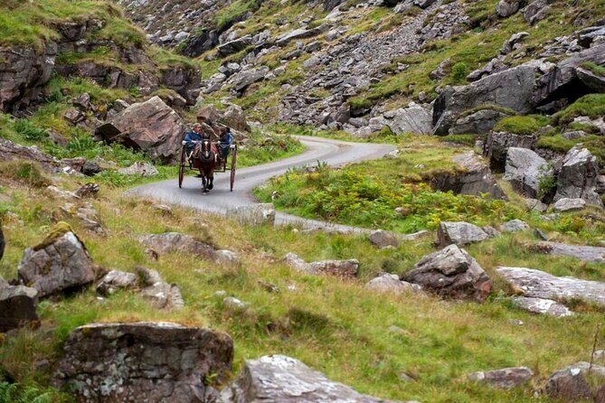 Ring of Kerry & Killarney tour departing from Cork City. Guided. Full Day. - An In-Depth Look at the Tour Experience