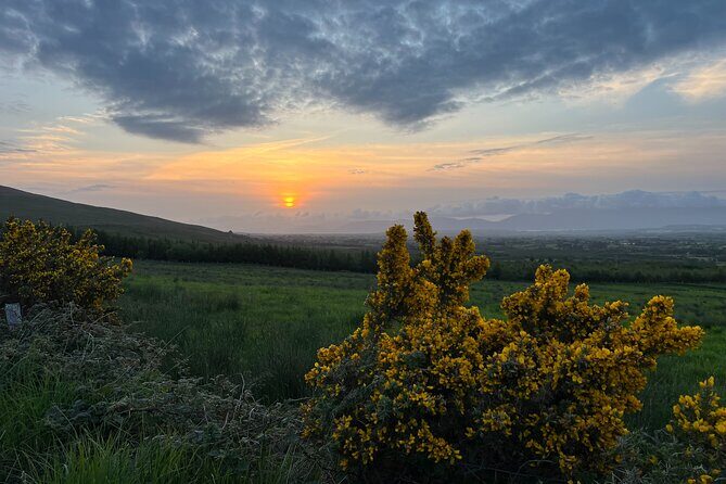 Ring of Kerry Private Tour from Killarney - Who Is This Tour Best For?
