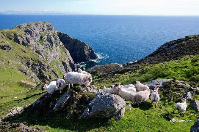 Ring of Kerry & Skellig Ring Private Day Tour - The Start: Seamless Pickup and First Impressions