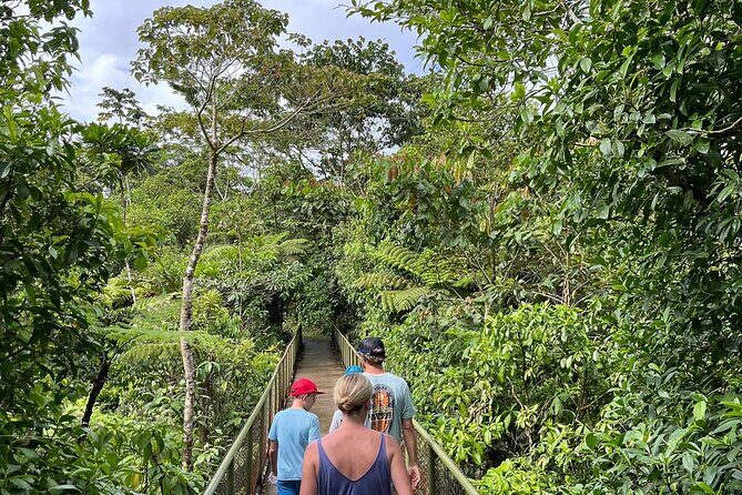 Rio Celeste Waterfall Plus Sloths and wildlife Sanctuary - Who Is This Tour Best For?
