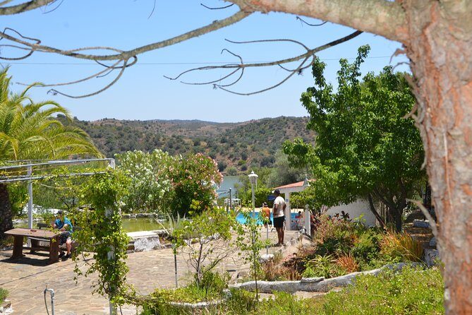 Rio Guadiana River Cruise - Possible Drawbacks to Keep in Mind