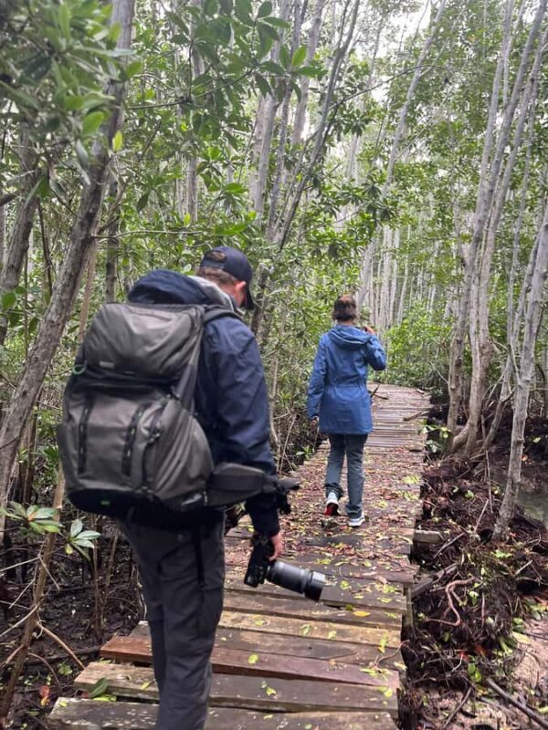 Río Lagartos 3 Islands, Mayan history and Oasis - What Makes This Tour Special?