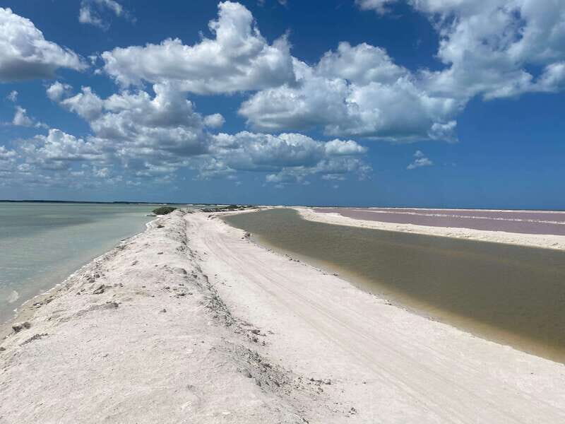 Rio Lagartos and Las Coloradas: EcoSafari Flamingo classic - Overview of the EcoSafari Flamingo Classic Tour