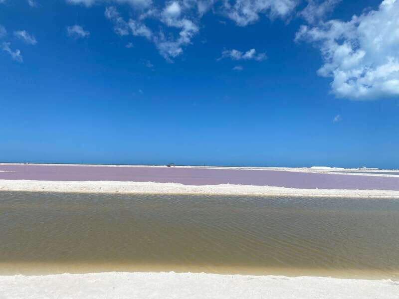 Rio Lagartos and Las Coloradas: EcoSafari Flamingo classic - Why the Tour Offers Excellent Value