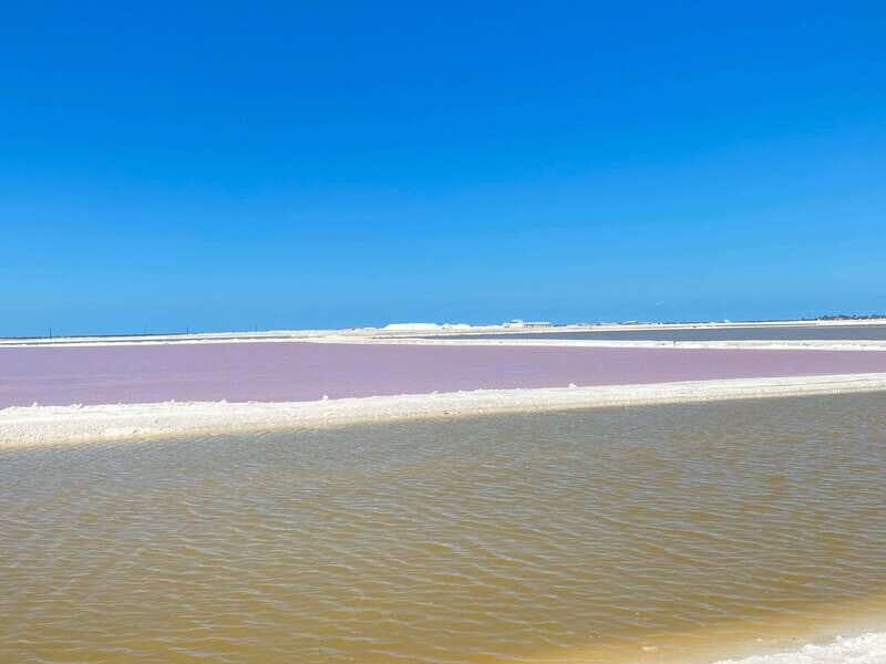 Rio Lagartos and Las Coloradas: EcoSafari Flamingo classic - Final Thoughts
