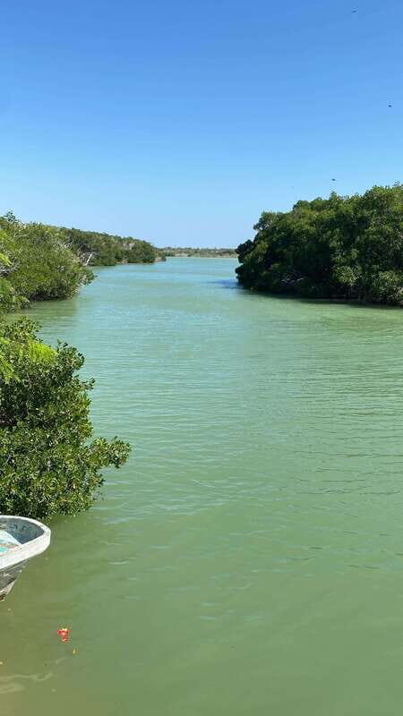 Rio Lagartos and Las Coloradas: EcoSafari Flamingo Luxury - Exploring Río Lagartos and Las Coloradas: What You Need to Know