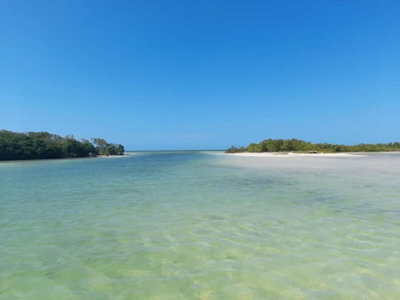 Rio Lagartos and San Felipe: Cerritos Island, adventure tour and Mayan culture. - Key Points