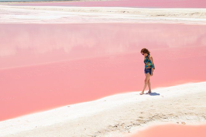 Rio Lagartos Biosphere + Coloradas Gorgeous Pink Lake! Transportation from Tulum - An In-Depth Look at the Tour