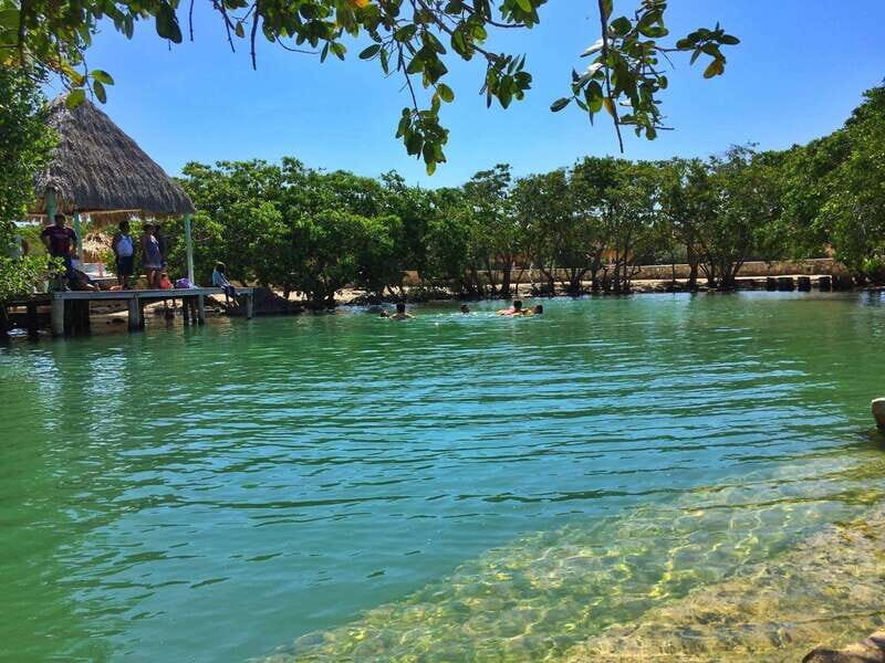 Rio Lagartos Expedition: boat journey through the mangrove - The Sum Up