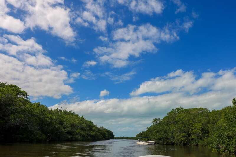 Rio Lagartos: Mangrove Tour and Mayan Bath (Natural Spa) - Price and Value