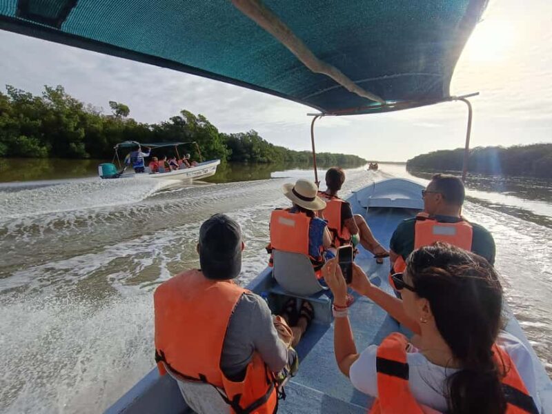 Rio Lagartos: Tour and Gastronomy - Key Points