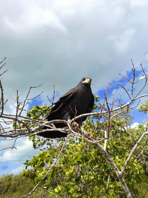 Rio Lagartos: Tour and Gastronomy - The Sum Up