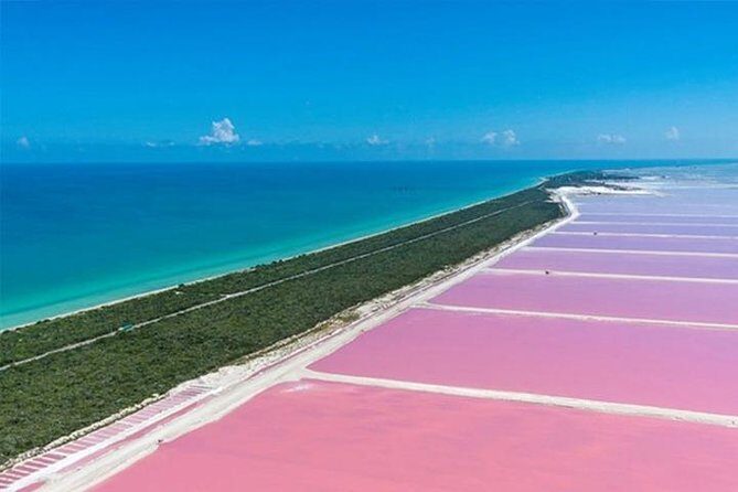 Río Lagartos y Las Coloradas Private Tour from Merida - A Complete Look at the Tour Experience