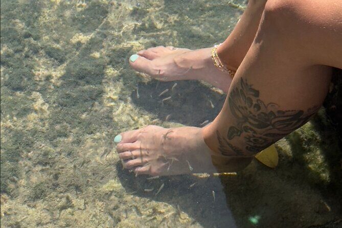 Rio Lizards and Las Coloradas Ecosafari Maya Natural Experience - Authentic Comments from Travelers