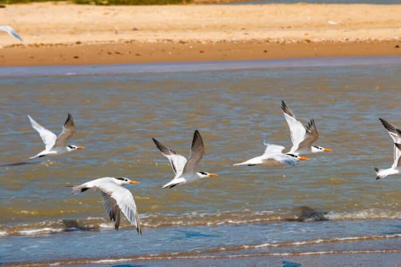Riohacha: Cabo de la Vela & Punta Gallinas 4-Day Tour - Who Will Love This Tour?