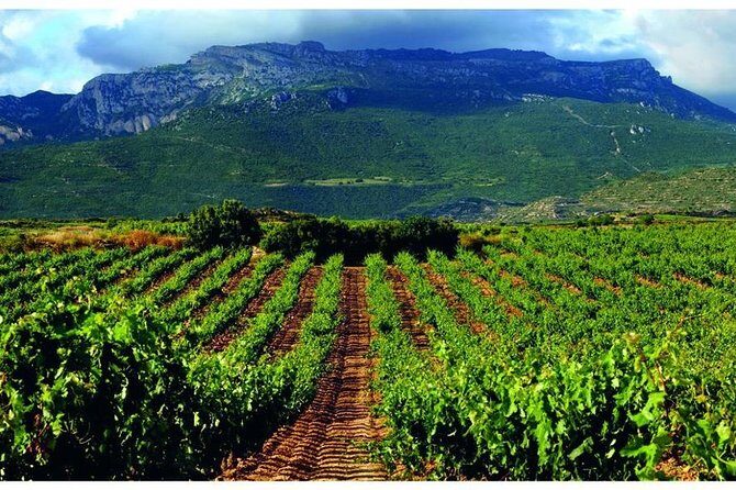 Rioja Alavesa Wineries and Medieval Villages Day Trip - An In-Depth Look at the Rioja Alavesa Wineries and Medieval Villages Tour