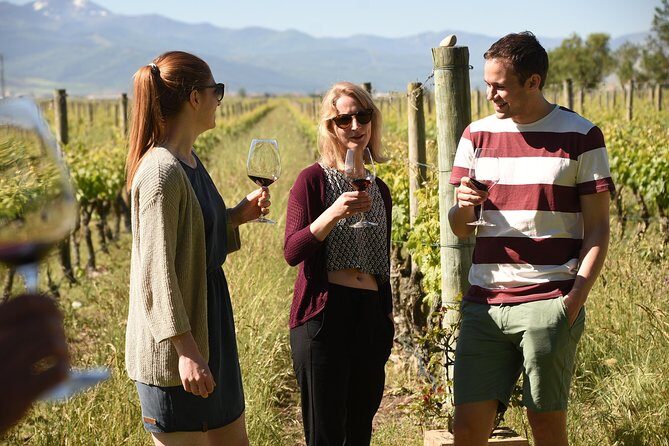 Rioja Alta and Rioja Alavesa Wine Tour - Key Points