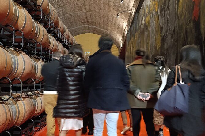 Rioja Day Tour: Explore Three Wineries with Tastings - A Closer Look at the Rioja Day Tour