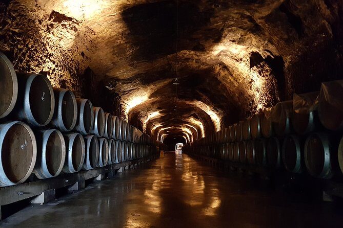 Rioja Full Experience Tour from San Sebastian with Lunch - Key Points