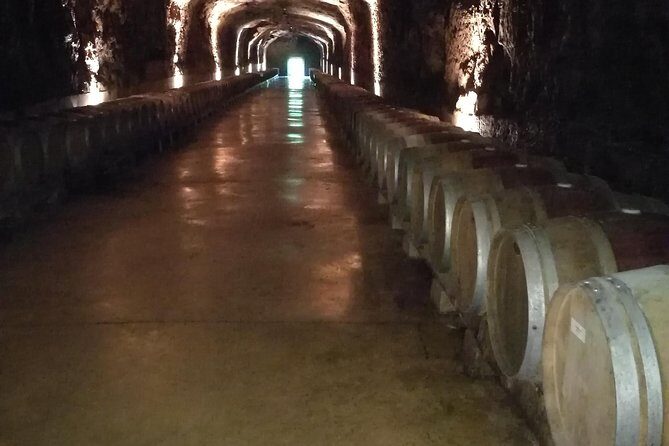 Rioja Wine Private Tour from San Sebastian - A Detailed Look at the Rioja Wine Tour