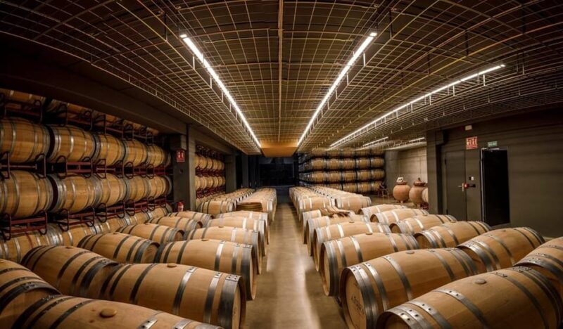Rioja: Wine tasting and sampling at the Martínez Alesanco family winery - Key Points