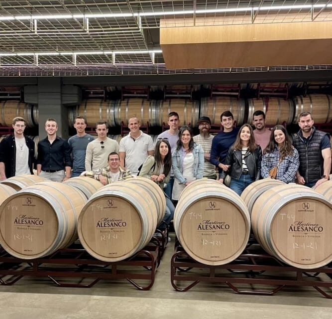 Rioja: Wine tasting and sampling at the Martínez Alesanco family winery - A Detailed Look at the Tour Experience