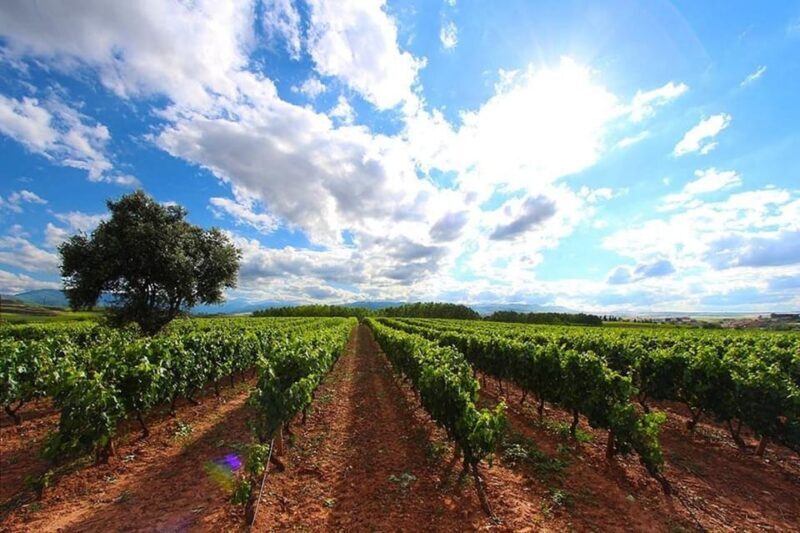 Rioja: Wine tasting and sampling at the Martínez Alesanco family winery - Final Thoughts