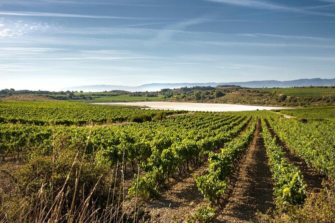 Rioja Wine Tour: 2 Wineries From Bilbao - Key Points