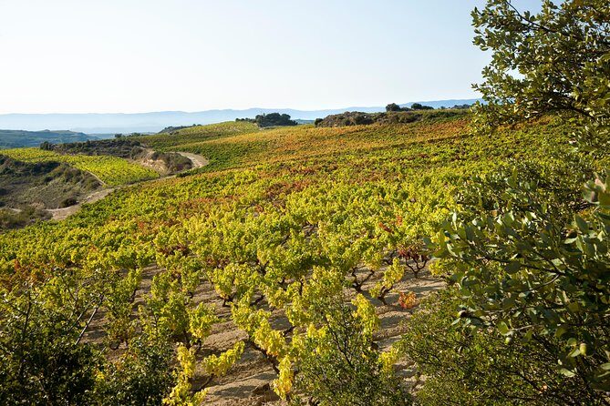 Rioja Wine Tour: 2 Wineries From Bilbao - The Sum Up