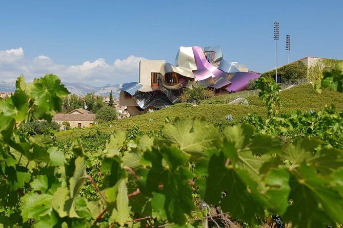 Rioja Wine Tour: Winery & Traditional Lunch From Bilbao - What Makes This Tour Stand Out?