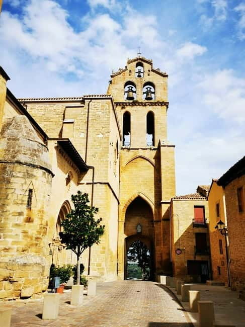 Rioja: Wine Tour with a Local Expert with Tastings - Key Points