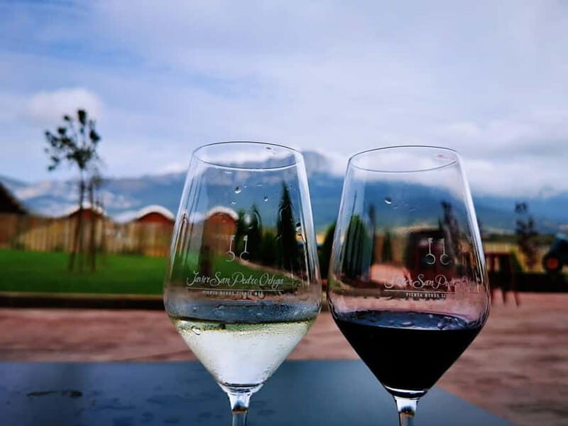 Rioja: Wine Tour with a Local Expert with Tastings - Final Thoughts