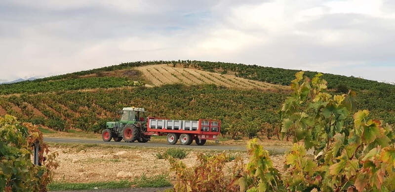 RIOJA: WINE TOUR WITH A WINERY OWNER - Key Points