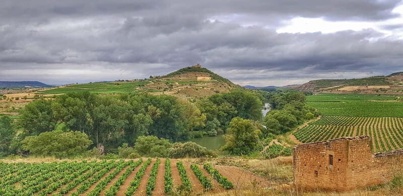 RIOJA: WINE TOUR WITH A WINERY OWNER - An In-Depth Look at the Rioja Wine Tour